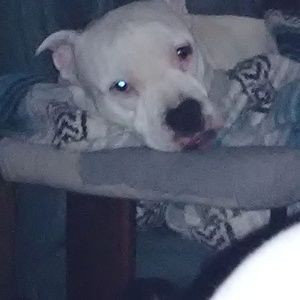 Meet your Posher, Vicki